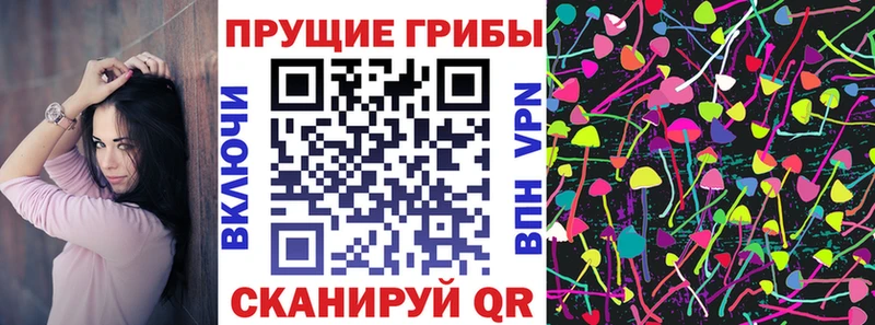 Галлюциногенные грибы мухоморы  гидра маркетплейс  Славск  наркотики 